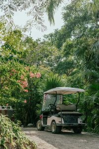 Unveiling the Impact of Golf Cart Usage on Delray Beach's Local Economy
